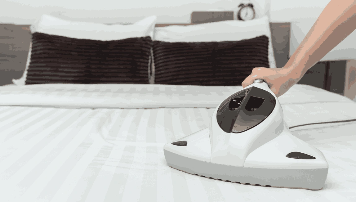 Professional Mattress Cleaning Fingal